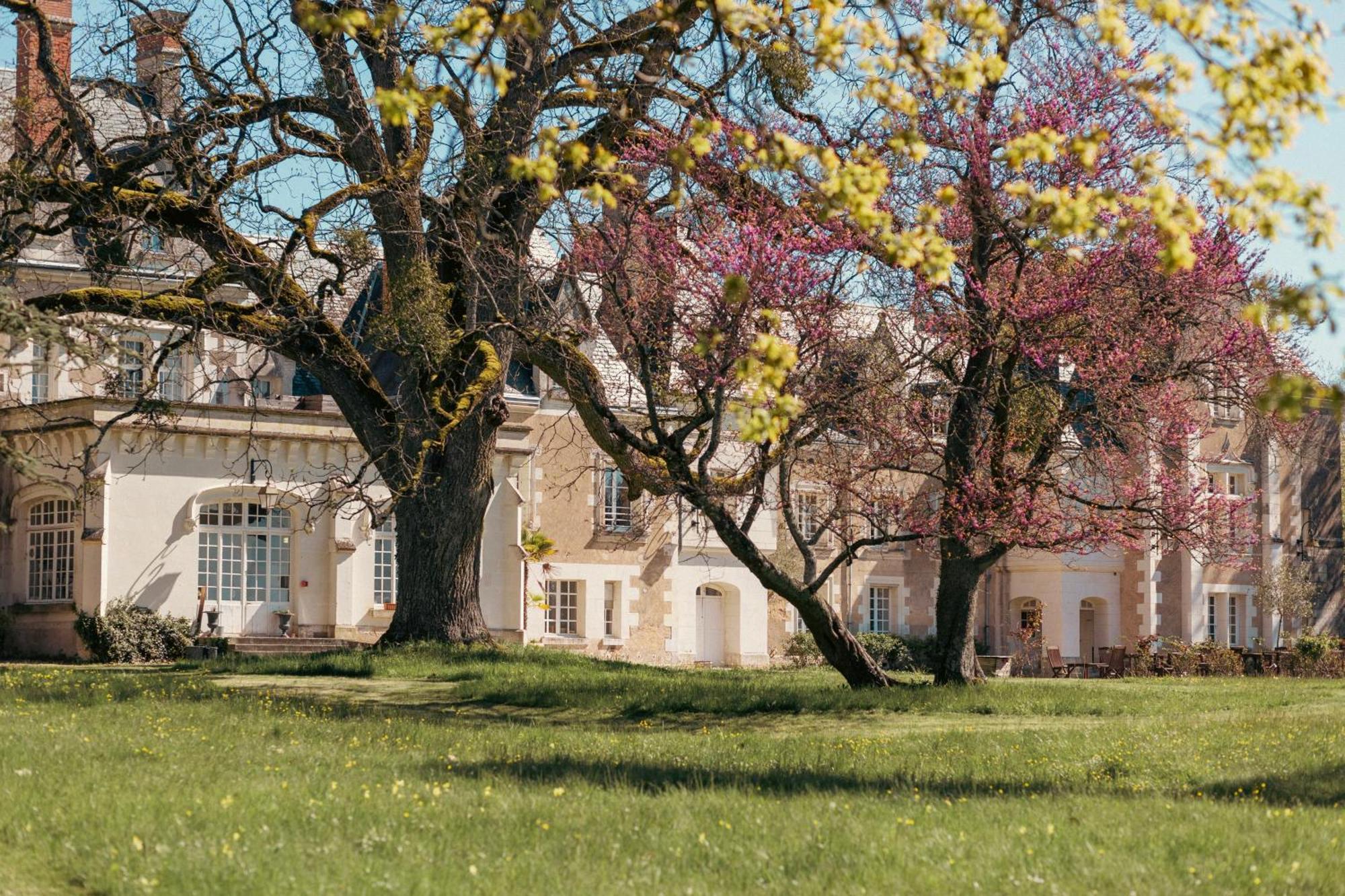 Chateau De Razay Céré-la-Ronde Zewnętrze zdjęcie